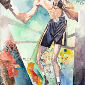 Boxer