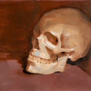 Skull Study